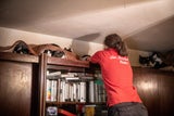 47 Katzen aus 50-Quadratmeter-Wohnung in Wien gerettet