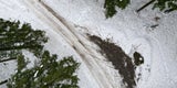 Frau mit Schnee-Stange erschlagen: 18-Jähriger gesteht Mord