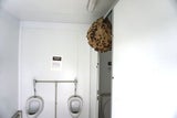 Hornissennest