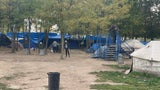Flüchtlingskolonnen am Weg nach Österreich