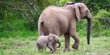 10 Gründe für eine Reise nach Südafrika