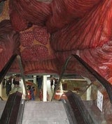 Corpus