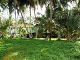 Private Islands Inc