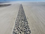 Zwölf Stunden Stau nach Burning-Man-Festival