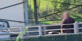 Kalb Misshandelt Tiertransport