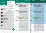 Diese WhatsApp-Funktion sollte jeder kennen