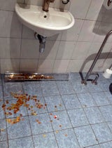 Spendenkasse im Wiener Haus des Meeres geplündert worden. Mehrere Hundert Euro weg.