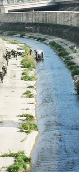 ''Rallye-Pilot'' versenkte Geländewagen in Wien-Fluss