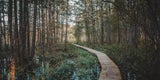 Die schönsten Nationalparks in Lettland