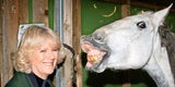 Camilla: Die Geliebte ist jetzt "Königin"