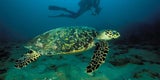 Drei Geheimtipps für deinen Südafrika-Urlaub
