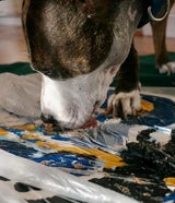 Happily Ever After Rescue