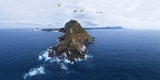 Cape Point
