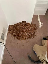 Nick's Extreme Pest Control/Facebook