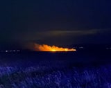 Drei Hektar Schilf am Neusiedler See in Flammen