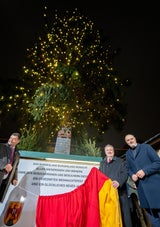 Christbaum erstrahlt im Lichterglanz