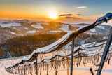Steiermark