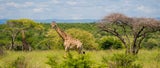 Eindrücke aus Südafrika