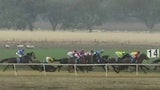 Jockey