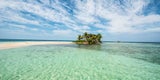 Belize Silk Caye
