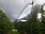 Unwetter Steiermark