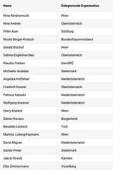 Diese 19 Personen saßen in der SPÖ-Wahlkommission