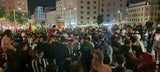 Erdogan Fans Wien Wahl