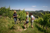Südsteiermark im Frühling entdecken
