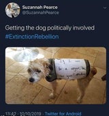 Hund vegan ernährt: Mega-Shitstorm gegen Extinction-Rebellion