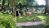 Meier Hallmann Hochzeit