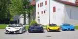 Sündteure Autos von Diktator-Sohn unterm Hammer
