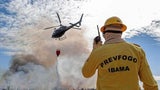 Bolsonaro will mit Militär gegen Amazonas-Feuer kämpfen