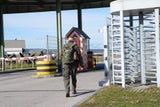 Militärdiensthunde zerfleischen Hundeführer in Kaserne