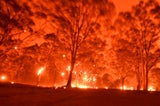 Australien: Tausende Menschen von Flammen eingekesselt