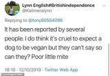 Hund vegan ernährt: Mega-Shitstorm gegen Extinction-Rebellion