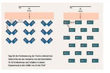 "Schicht-Betrieb" in Schulen ab 18. Mai