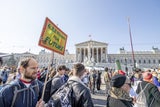 25.000 Menschen bei ''Fridays For Future''-Klimastreik in Wien
