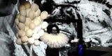 Bunt und gruseliger Start! Das war der letzte Life Ball