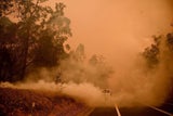 Australien-Rauchwolke weht bis Südamerika