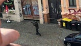 Halle