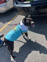 Lexington Humane Society
