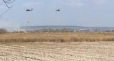 Neusiedler See Black Hawk