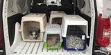 Welpen-Handel, Polizei - Unsere Tiere - Sendung 11102019