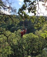 Spaziergängerin am Wiener Leopoldsberg abgestürzt