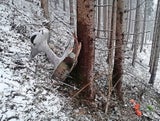 Flugzeug-Crash: Bangen um 11-Jährige