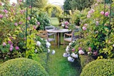 Sommer im Namen der Rose