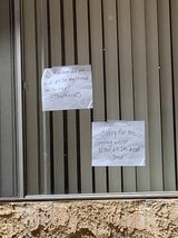 So ungewöhnlich verliebte sich dieser Kater