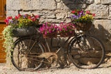 Es hat sich ausgeradelt? Einige mit Sommerblühern bestückte Pflanztöpfe machen aus dem alten Fahrrad ein originelles Schmuckstück im Garten.&nbsp;