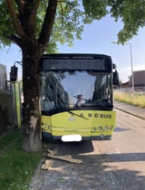 Linienbus mit Schulklasse crasht in Baum: Neun Verletzte