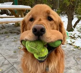 FinnyBoyMolloy
